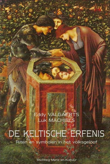 De Keltische erfenis 9789072931351 Valgaerts, Boeken, Verzenden, Gelezen, Valgaerts