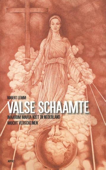 Valse schaamte - Robert Lemm 9789463381833, Verzenden, Zo goed als nieuw, Robert Lemm