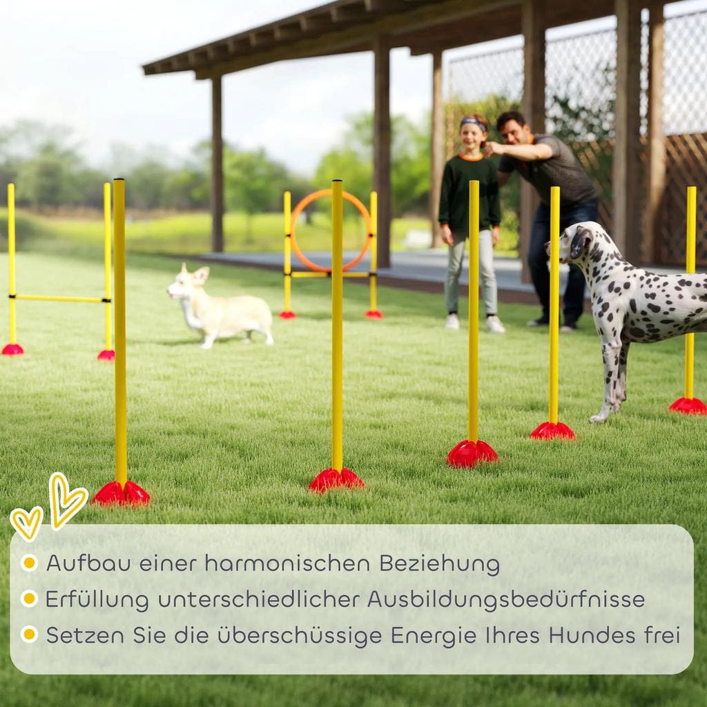PawHut Behendigheid Hordenset Hondentrainingsset Slalomstokset 4 X Horden Oefening Wit D07 018 549965291