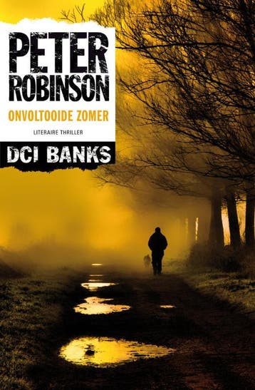 Onvoltooide zomer / Alan Banks / 13 - Peter Robinson, Verzenden, Gelezen, Peter Robinson