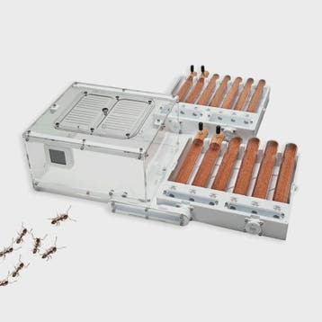 Ant Farm Nest SL256: 6-buizen 3D-geprint, oneindig stapelbaa, Dieren en Toebehoren