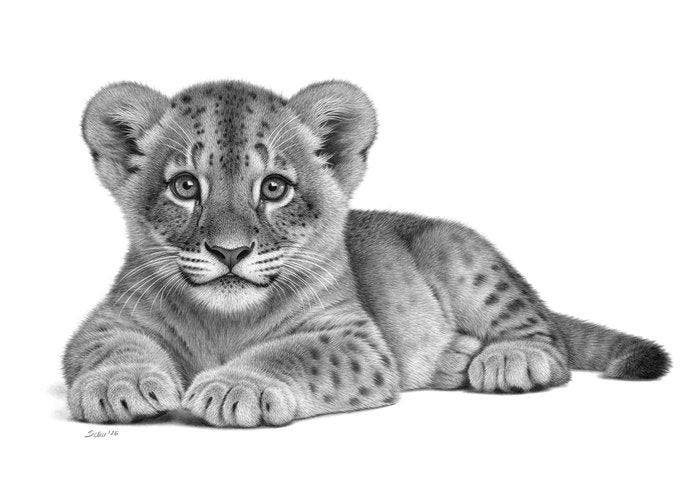 Schu - Lion Cub, Antiek en Kunst, Kunst | Designobjecten