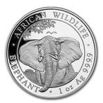 Somalische Olifant 1 oz 2021, Verzenden, Overige landen, Losse munt, Zilver