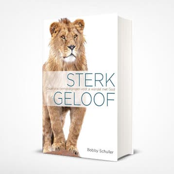 Sterk Geloof | Bobby Schuller | Nieuw, Boeken, Ophalen of Verzenden, Nieuw, Bobby Schuller