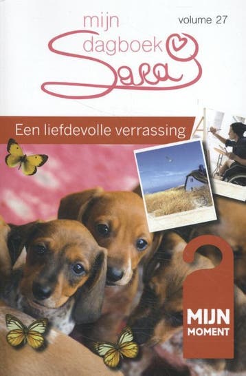 Een liefdevolle verrassing / Sara mijn dagboek / 27 - Ria, Boeken, Verzenden, Zo goed als nieuw, Ria Maes