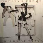 LP gebruikt - Godley &amp; Creme - Birds Of Prey (Netherl..., Verzenden, Zo goed als nieuw