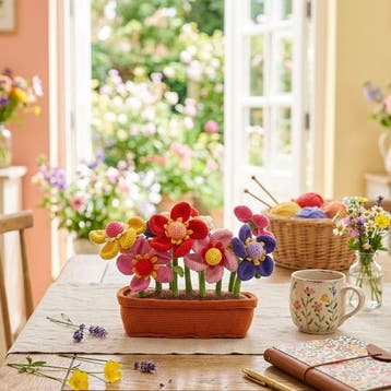 Bloemen in de Bloembak Haken - Haakpret Anja Toonen - Haak, Hobby en Vrije tijd, Breien en Haken, Ophalen of Verzenden, Nieuw