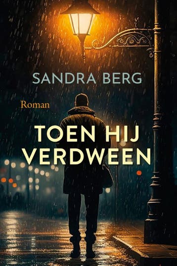 Toen hij verdween - Sandra Berg 9789020553536, Verzenden, Zo goed als nieuw, Sandra Berg