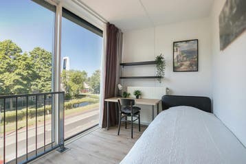 Eigen Kamer aan Buizerdhof, Capelle aan den IJssel, 50 m² of meer