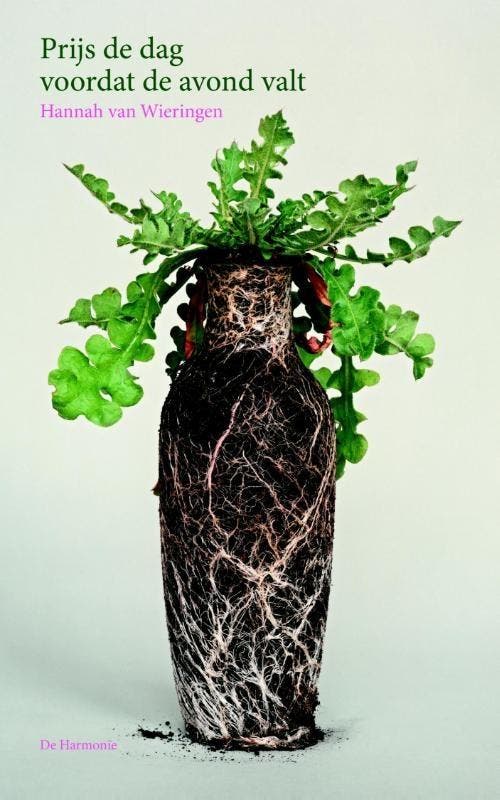 Prijs de dag voordat de avond valt (9789076174761), Boeken, Romans, Nieuw, Verzenden