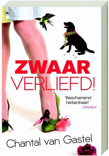 Zwaar verliefd / Leeslicht - Chantal van Gastel, Verzenden, Gelezen, Chantal van Gastel