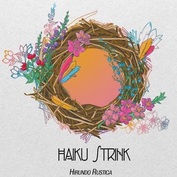 cd - haiku strink - HIRUNDO RUSTICA (nieuw), Verzenden, Zo goed als nieuw