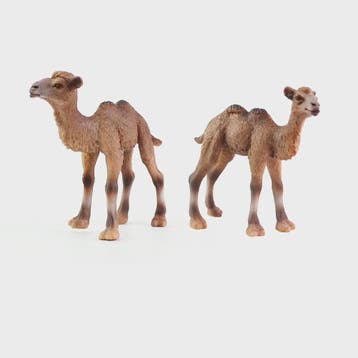 Realistisch Dromedaris Kameel Figuur - Premium Kwaliteit Spe, Dieren en Toebehoren
