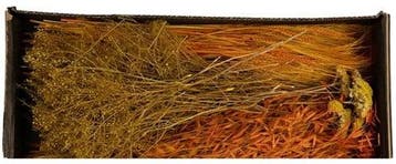Droogbloempakket Dried flowers mix tray Orange, Ophalen of Verzenden, Nieuw