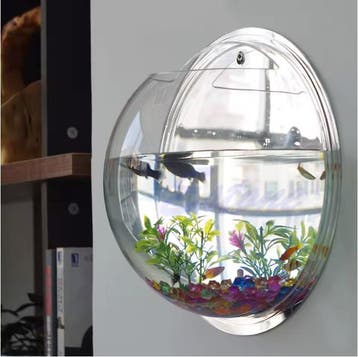 Wand Acryl Viskom –Transparant Mini Aquarium en Plantenhoude, Dieren en Toebehoren, Vissen | Aquaria en Toebehoren, Verzenden