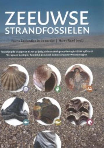 Zeeuwse Strandfossielen |  | Nieuw, Ophalen of Verzenden, Nieuw