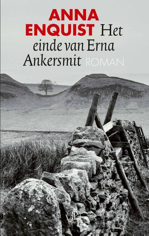 Het Einde Van Erna Ankersmit | Anna Enquist, Boeken, Overige Boeken, Nieuw, Ophalen of Verzenden
