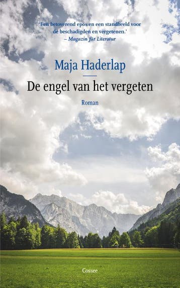 De engel van het vergeten - Maja Haderlap 9789059368576, Verzenden, Zo goed als nieuw, Maja Haderlap