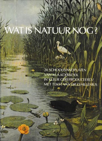 Wat is natuur nog? - Hillenius 9789021824093, Boeken, Verzenden, Zo goed als nieuw, Hillenius