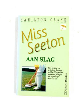 Miss Seeton aan slag / Miss Seeton - H. Crane 9789044925531, Verzenden, Zo goed als nieuw, H. Crane