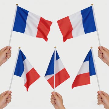 Franse Mini Vlaggetjes met Stokje - 14x21cm | Feest, Sport &, Verzenden, Nieuw