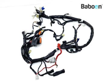 Kabelboom Yamaha XJR 1300 2007-2016 (XJR1300 5WM), Motoren, Verzenden, Gebruikt