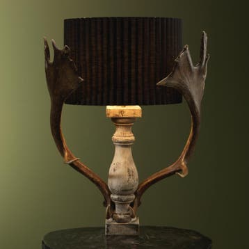 Damhert Geweilamp Taxidermie Opgezette Dieren By Max, Verzamelen, Ophalen of Verzenden, Nieuw, Wild dier, Opgezet dier