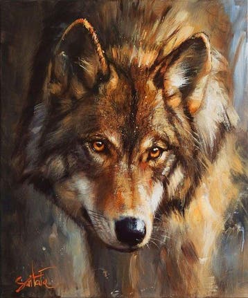 Ewa Switala - Wolf Gaze