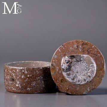 Ronde sieradendoos - fossiele matrix met ammoniet en