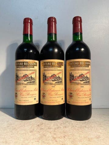 1996 Chateau Bel-Orme Tronquoy-de-Lalande - Haut-Médoc Cru, Nieuw
