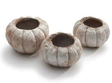 Coco Pumpkin Frosted zak 3 stuks, Ophalen of Verzenden, Nieuw