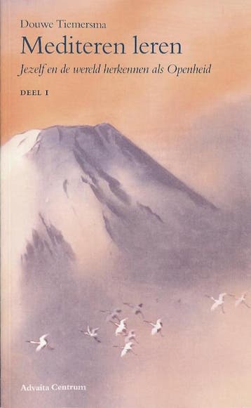 Mediteren leren - D. Tiemersma 9789080573963, Verzenden, Gelezen, D. Tiemersma
