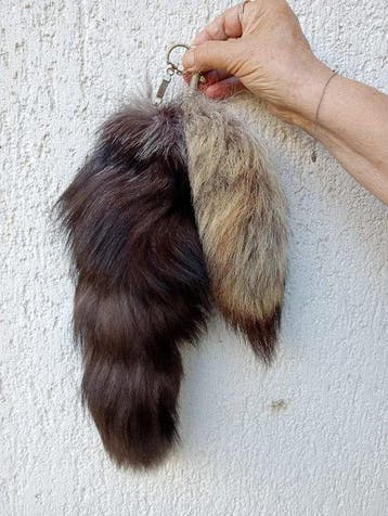 Rode vos Taxidermie schoudermontage - Vulpes vulpes tail - 2