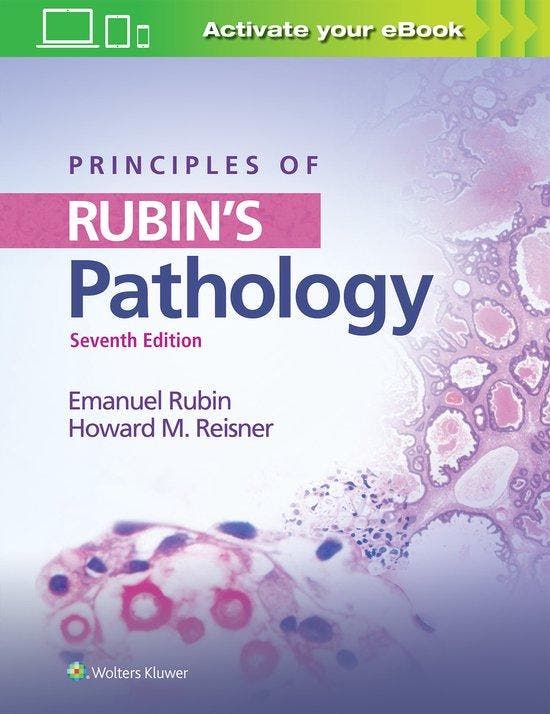 9781496350329 Principles of Rubins Pathology, Boeken, Schoolboeken, Nieuw, Verzenden
