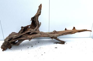 Osaka XL156 uniek aquarium decoratie hout  175x80x45 cm, Ophalen of Verzenden, Nieuw, Plant(en), Steen of Hout