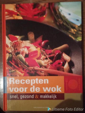 Recepten voor de wok 9783625110958, Verzenden, Gelezen