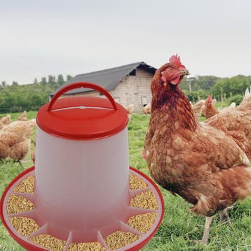 Automatische Kip Voerbak 1.5kg tot 12kg - Kippen, Duiven, Kw, Verzenden, Nieuw