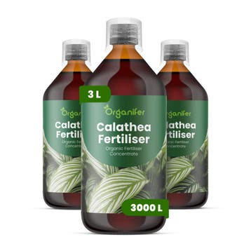 Calathea Vloeibare meststof - 3x1 liter, Verzenden, Mest