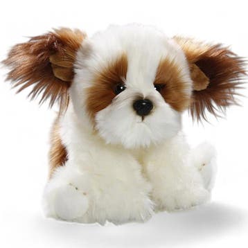 Carl Dick shih tzu knuffel - pluche - 24 cm - hond, Verzenden, Nieuw