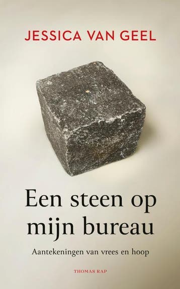 Een Steen Op Mijn Bureau | Jessica van Geel, Ophalen of Verzenden, Zo goed als nieuw, Jessica van Geel