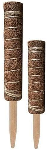 Mosstok Kokosstok planten totems set 50 + 30 cm, Ophalen of Verzenden, Nieuw
