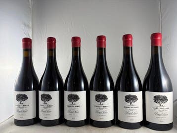2023 Casal das Aires - Pinot Noir Tinto - Tejo - 6 Flessen, Nieuw