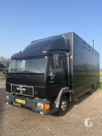 Degelijke MAN paardenvrachtwagen! 5 paards!, Ophalen, Zo goed als nieuw