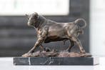 Beeld, woeste stier - 21 cm - brons marmer, Antiek en Kunst
