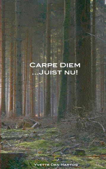 Carpe Diem juist nu! - Yvette den Hartog 9789461935458, Verzenden, Zo goed als nieuw, Yvette den Hartog