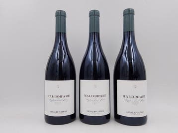 2016 Arnaldo-Caprai Malcompare Pinot Nero - Umbrië - 3, Nieuw