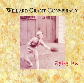 cd - Willard Grant Conspiracy - Flying Low, Verzenden, Zo goed als nieuw
