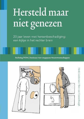 Hersteld maar niet genezen - Henk Lindeman 9789080427549, Verzenden, Zo goed als nieuw, Henk Lindeman