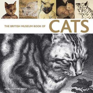 British Museum Book of Cats - Juliet Clutton Brock, Verzenden, Gelezen, Juliet Clutton Brock