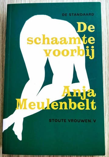 De schaamte voorbij / Stoute vrouwen / 5 - A. Meulenbelt, Boeken, Verzenden, Zo goed als nieuw, A. Meulenbelt